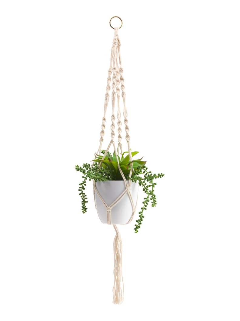 Faux Mixed Succulent in Plastic Hanging Pot