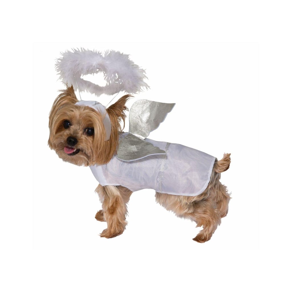 For an Angel on Earth: Forum Novelties Angel Pet Costume