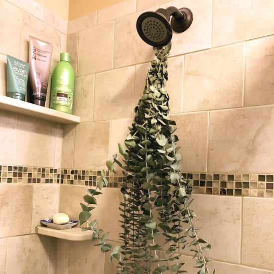 Hang Eucalyptus in the Shower