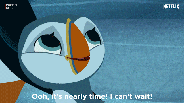 Puffin Rock