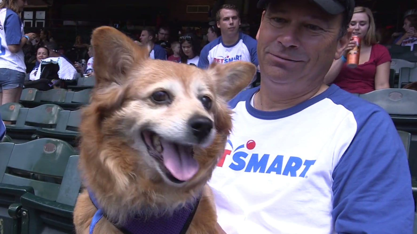 Diamondbacks Attempt World Record For Dogs in Attendance | PS Pets