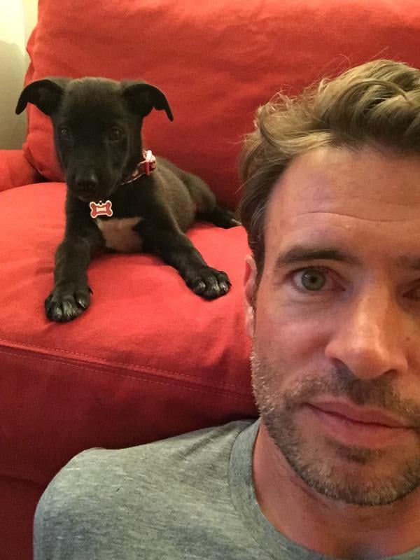On Frankie's furniture habits: "I have no problems putting my dog on the couch anywhere in my house. They're allowed. They live there. There are people who are like, 'Why is your dog on the couch?' and I'm like, 'It's 'cuz they f*cking live here; you get your ass out of here.' [laughs]. It's their house!"