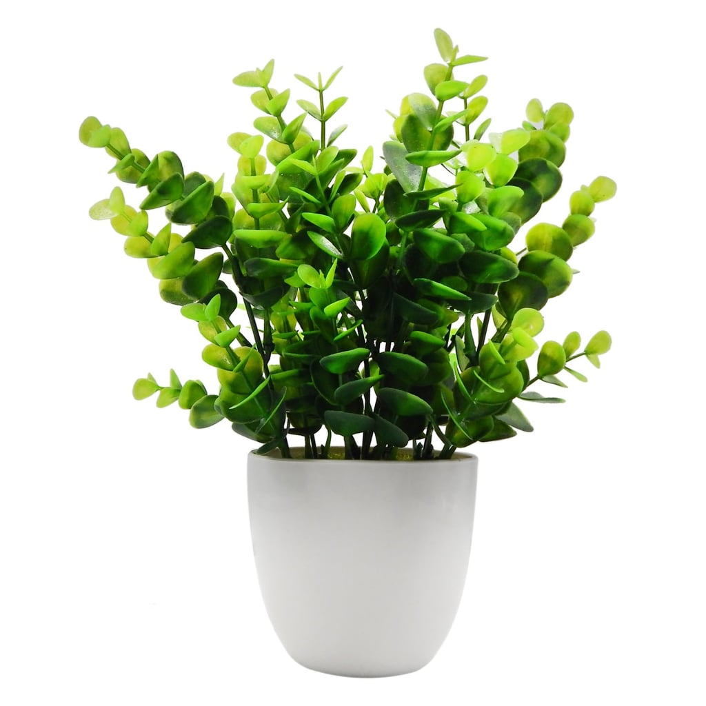 Offidix Mini Artificial Eucalyptus Plant