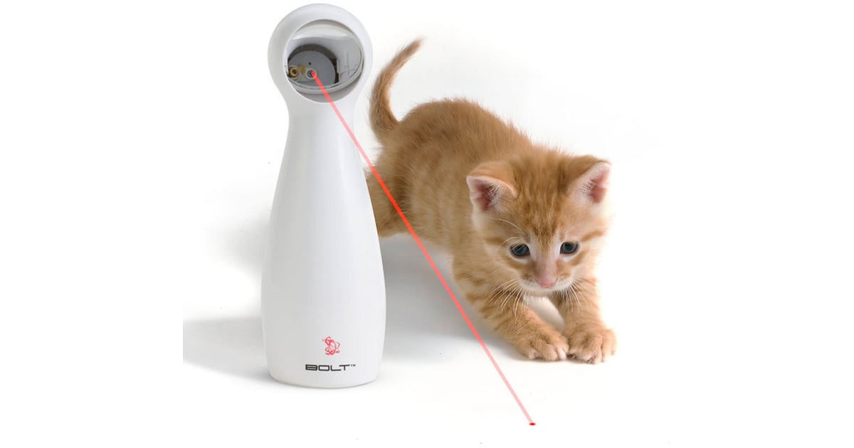 PetSafe Bolt Interactive Laser Cat Toy Best Products For Pet Owners