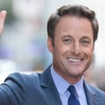 What You Need to Know About Chris Harrison, Your Bachelor Boyfriend
