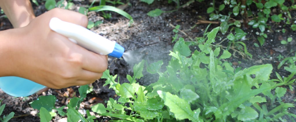 3-Ingredient Natural Weed Killer That Really Works