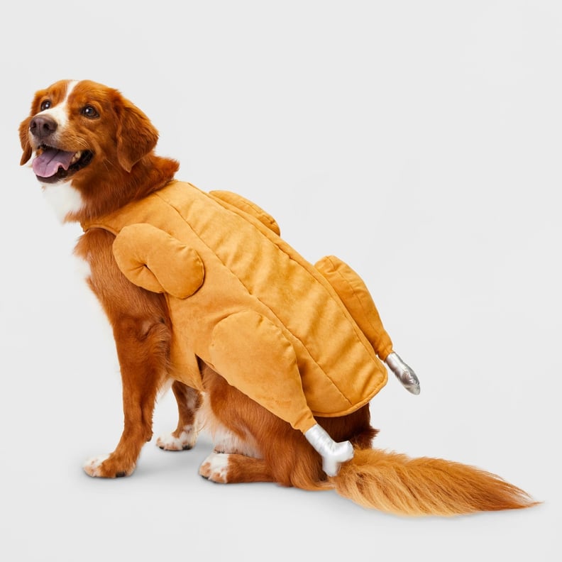 Turkey Dog Costume