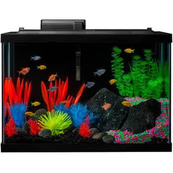 10g glofish tank. Nothing special. Just something simple to get my 2 year  old excited about the effects. : r/Aquariums