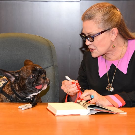 Carrie Fisher's Dog in Star Wars: The Last Jedi
