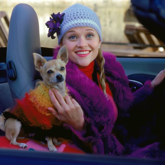 Reese Witherspoon's Best Outfits in Legally Blonde