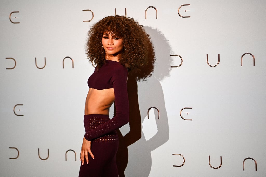 Zendaya Debuted a Curly Shag Haircut on Red Carpet