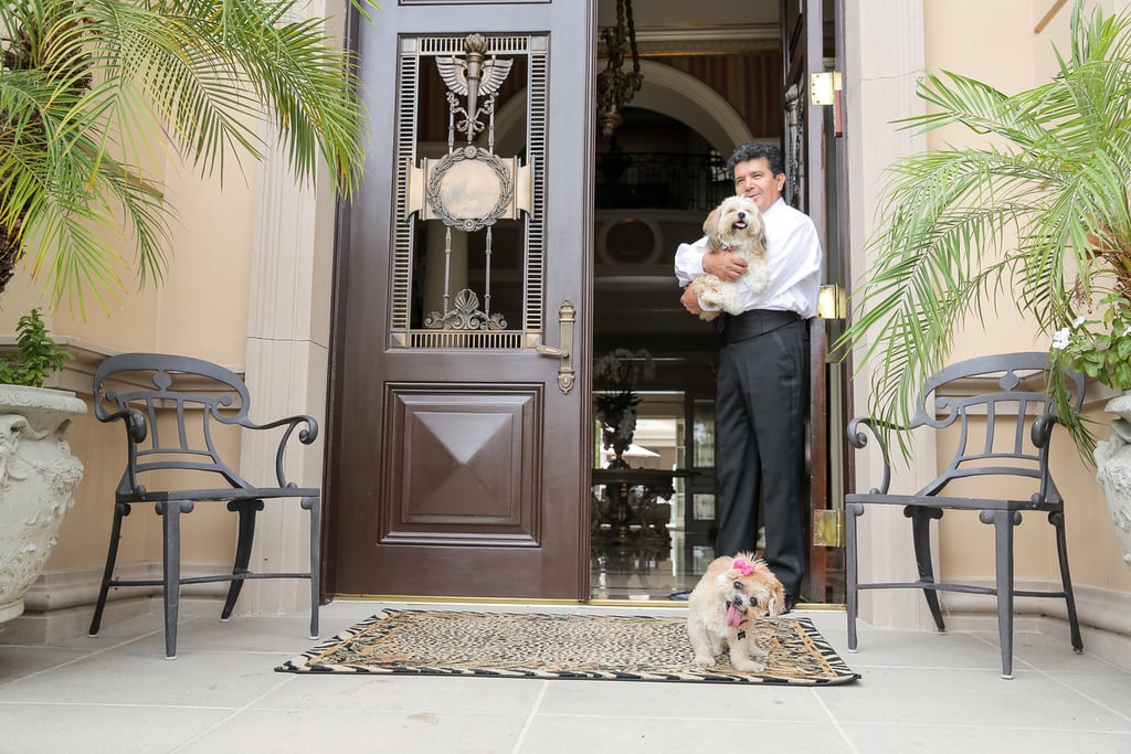 Marnie the Dog's Los Angeles Airbnb