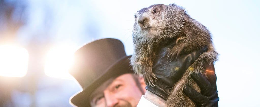 Groundhog Day 2018