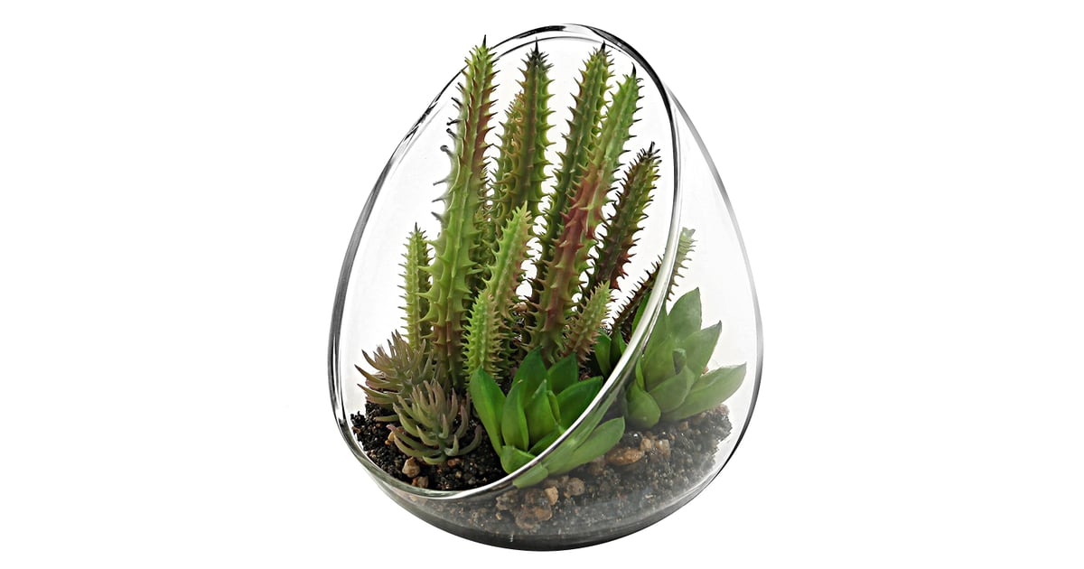 MyGift Small Artificial Cactus Plants With Slanted Clear ...