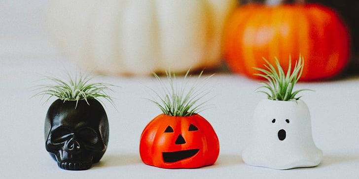 Skeleton Hand Air Plant Display, Beware: These Halloween-Themed Planters  From  Are Dangerously Cute