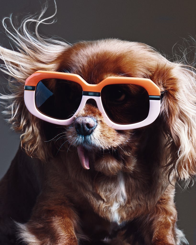 Karen Walker