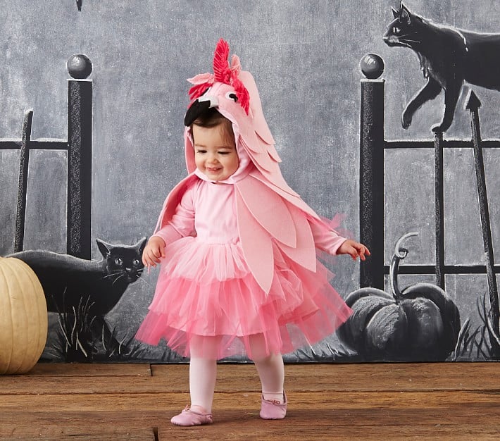 Baby Flamingo Costume Pottery Barn Costumes For Babies POPSUGAR
