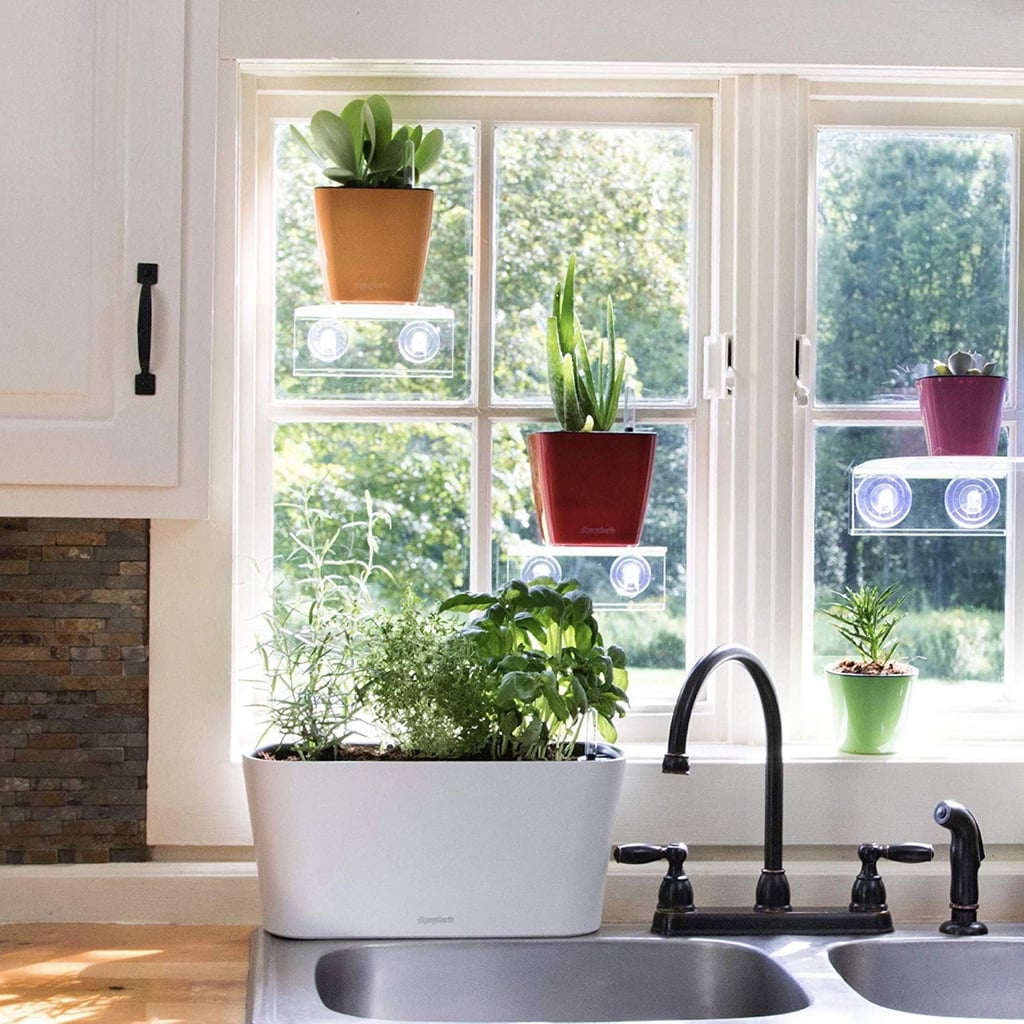 Green Thumb TikTok Is Where You Can Find Me Lately, Because These Hacks Are Too Good