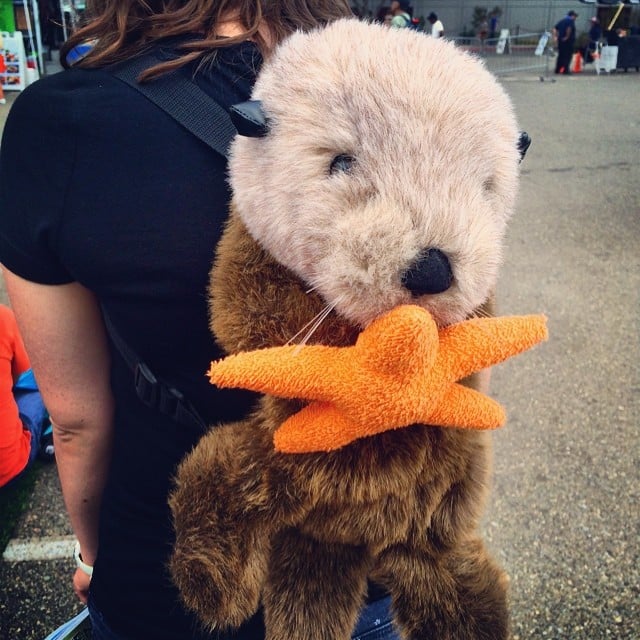 Imagine a #comiccon where everyone had an otter backpack. Dream big, #sdcc