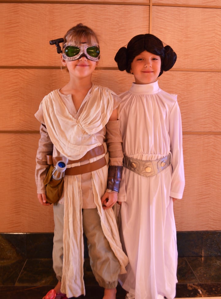 Rey and Princess Leia