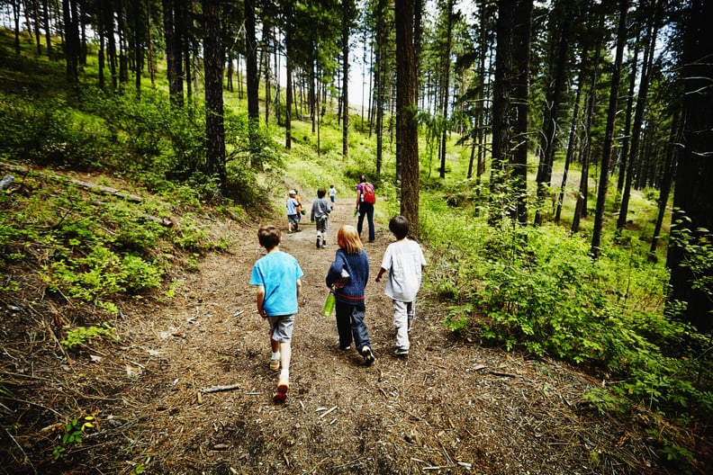 Group of young kids walking on trail in the woods with camp counselor at summer camp