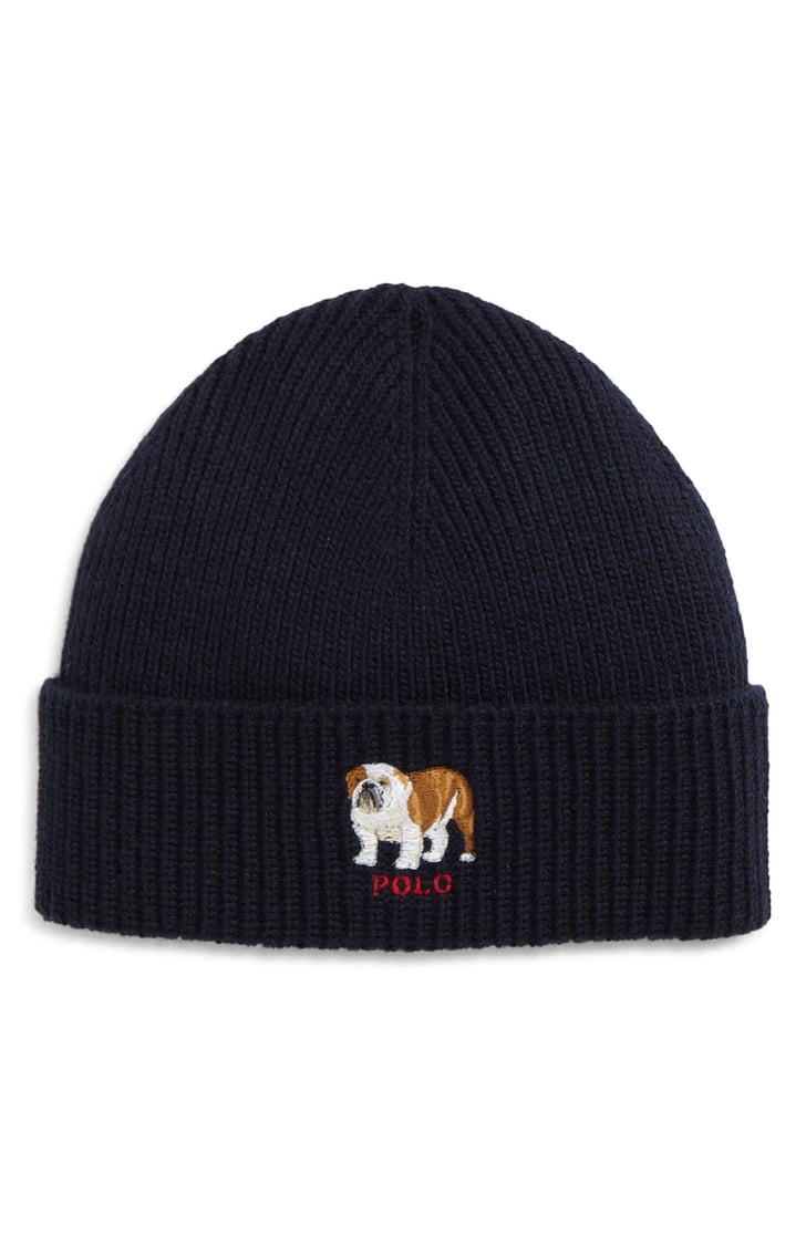 polo beanie french bulldog