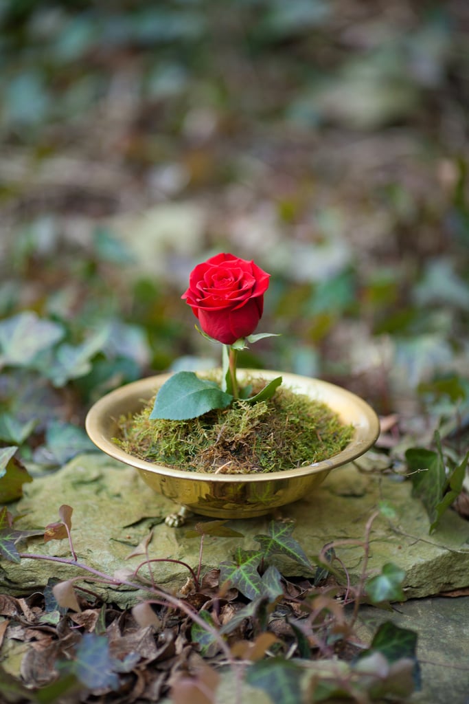 Beauty and the Beast-Inspired Styled Wedding Shoot