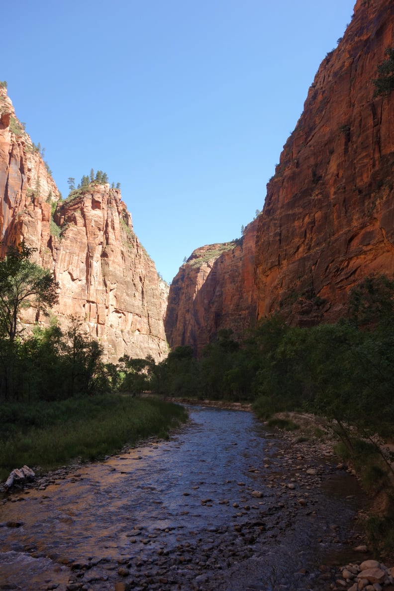 Riverside Walk in Zion National Park