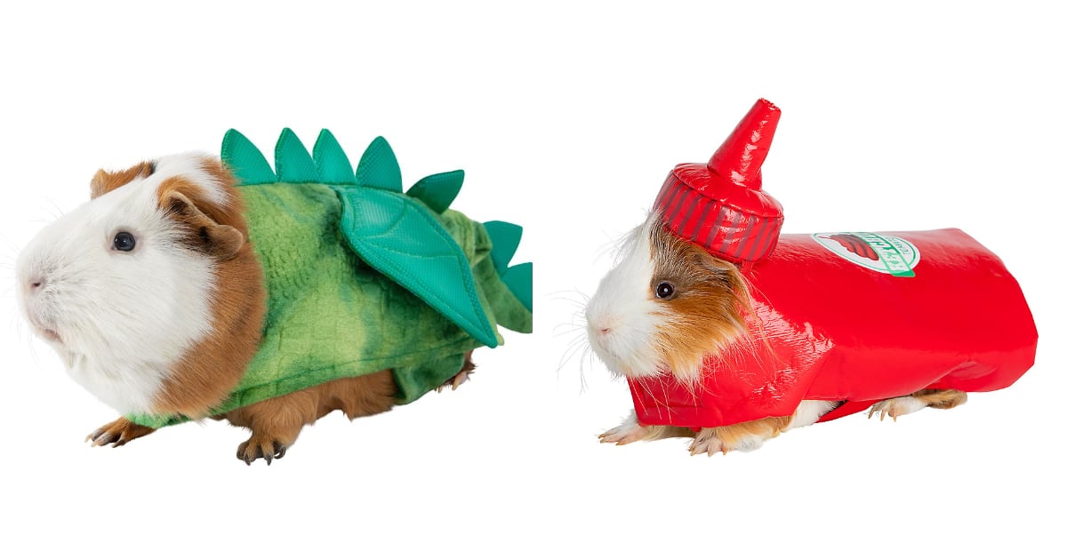 Kids guinea pig costume hotsell