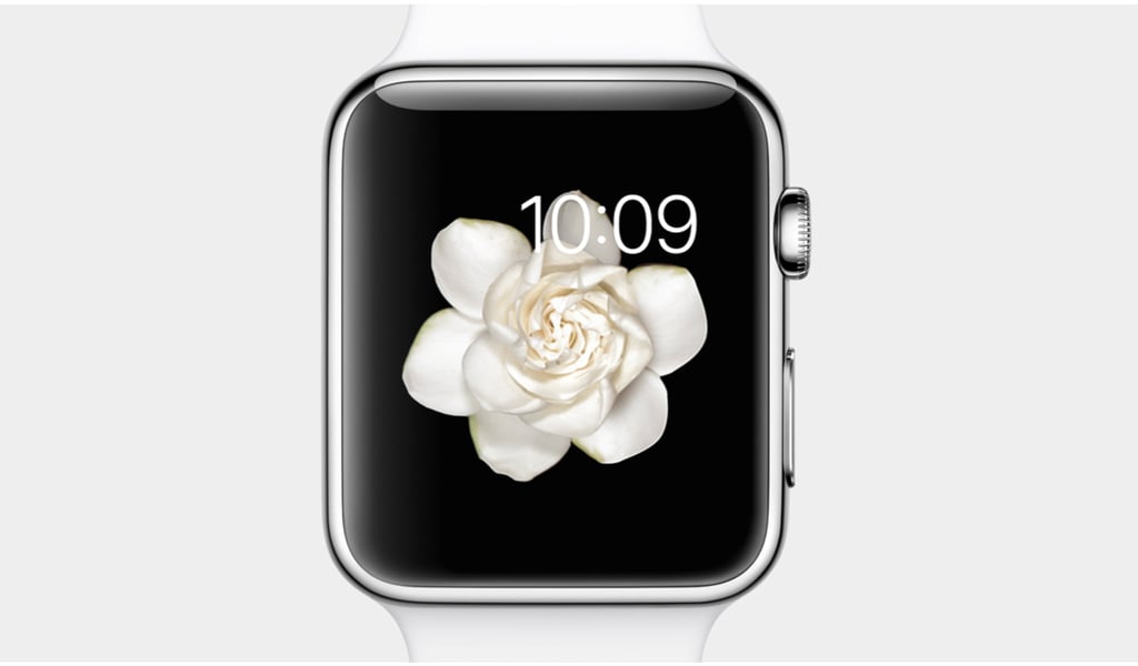 What Can the Apple Watch Do?