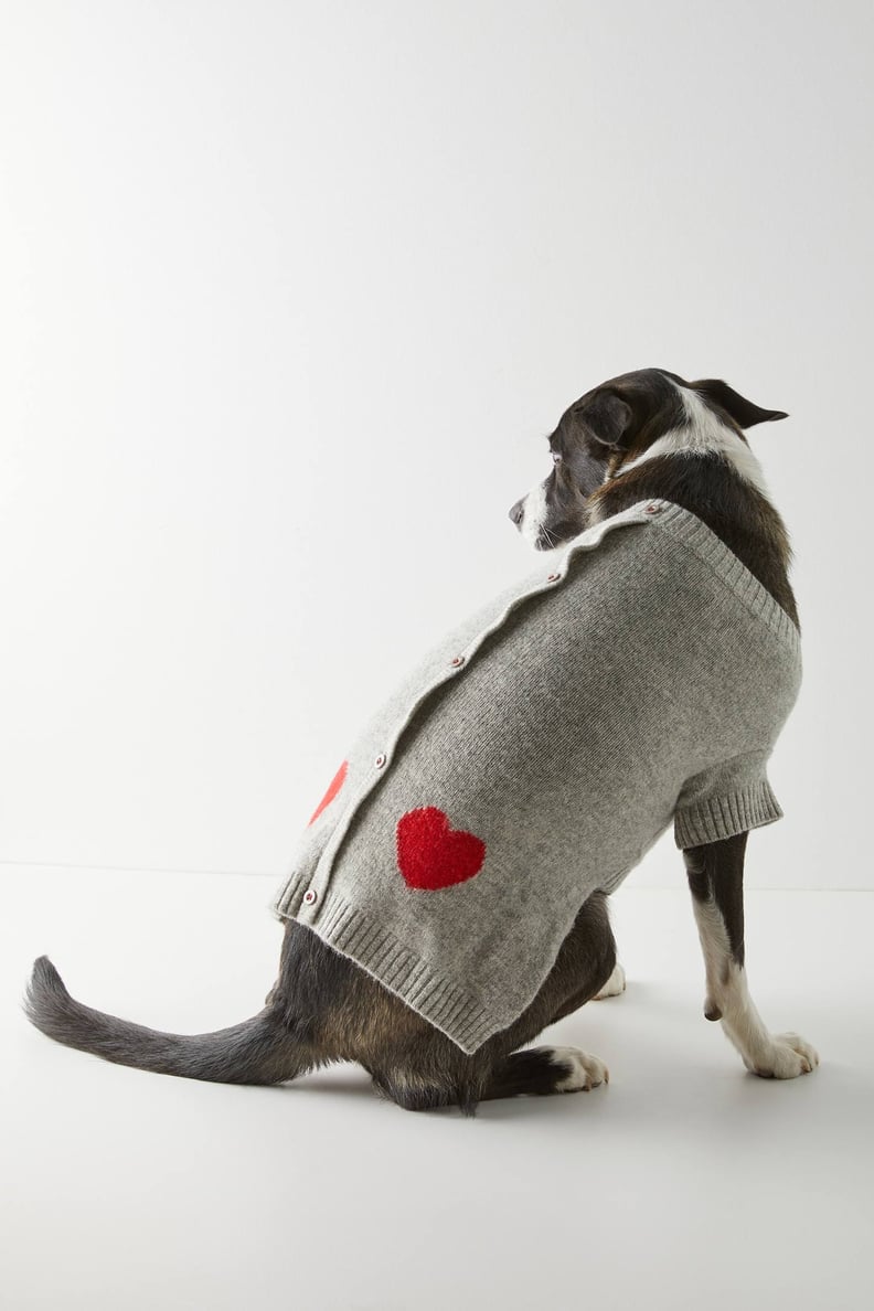 Heart Dog Sweater