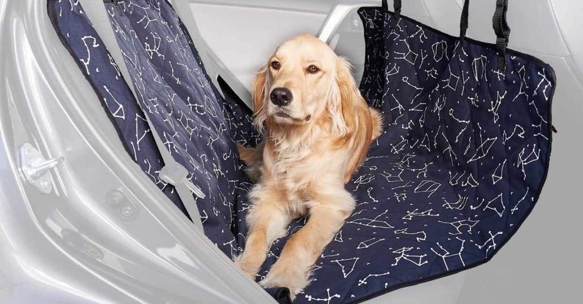 Best Products For Pet Owners 2019 POPSUGAR Family