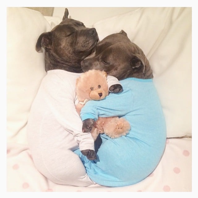 it s a nonstop pajama party for these