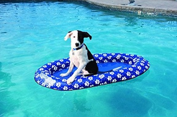 SwimWays Paddle Paws Dog Pool Float for Small Dogs
