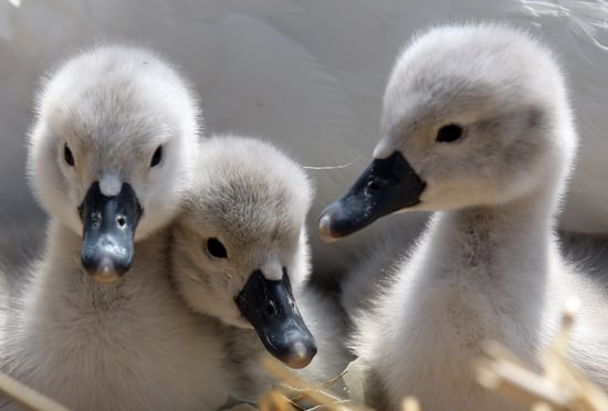 top 5 online dating sites for free