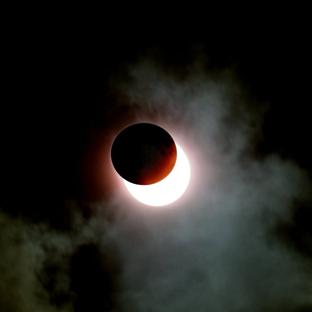 The First Solar Eclipse of 2023 Is Here — and It's Going to Be Chaotic
