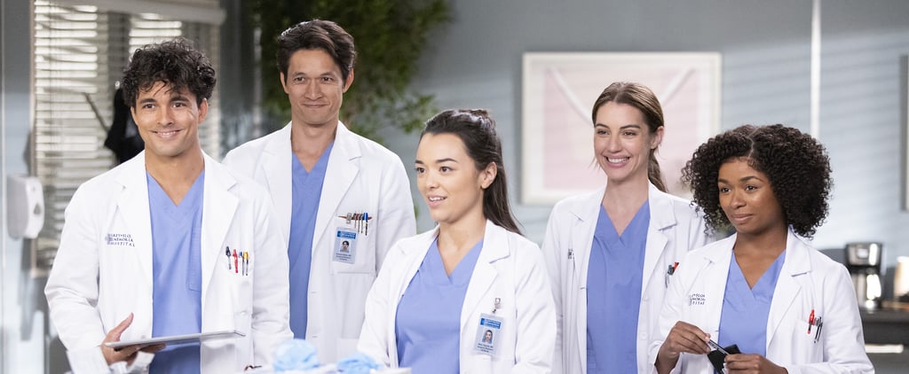 Grey's Anatomy Season 19: New and Returning Cast