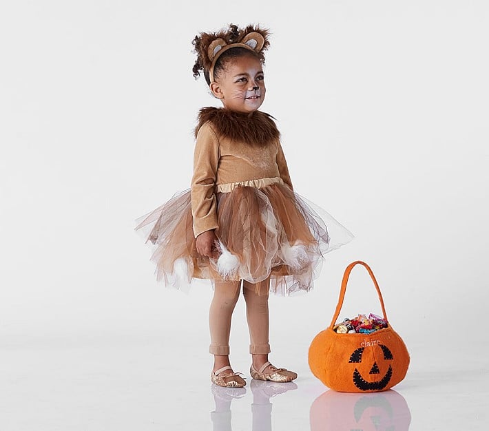 Pottery Barn Kids Toddler Lion Costume