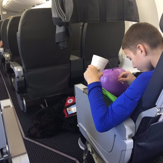 Boy and Service Dog Kicked Off American Airlines Flight