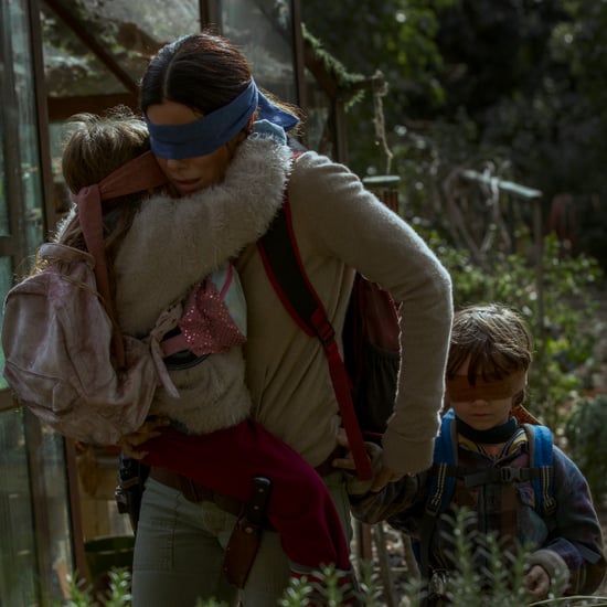 Is the Bird Box Book Getting a Sequel?