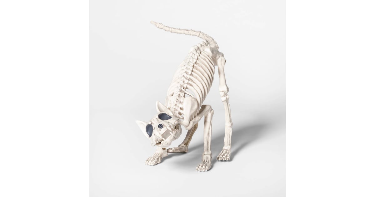 Cat Skeleton Best Target Outdoor Halloween Decorations 2019