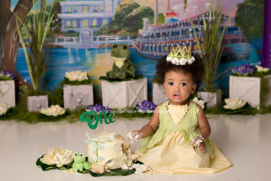 Princess and the Frog Cake Smash
