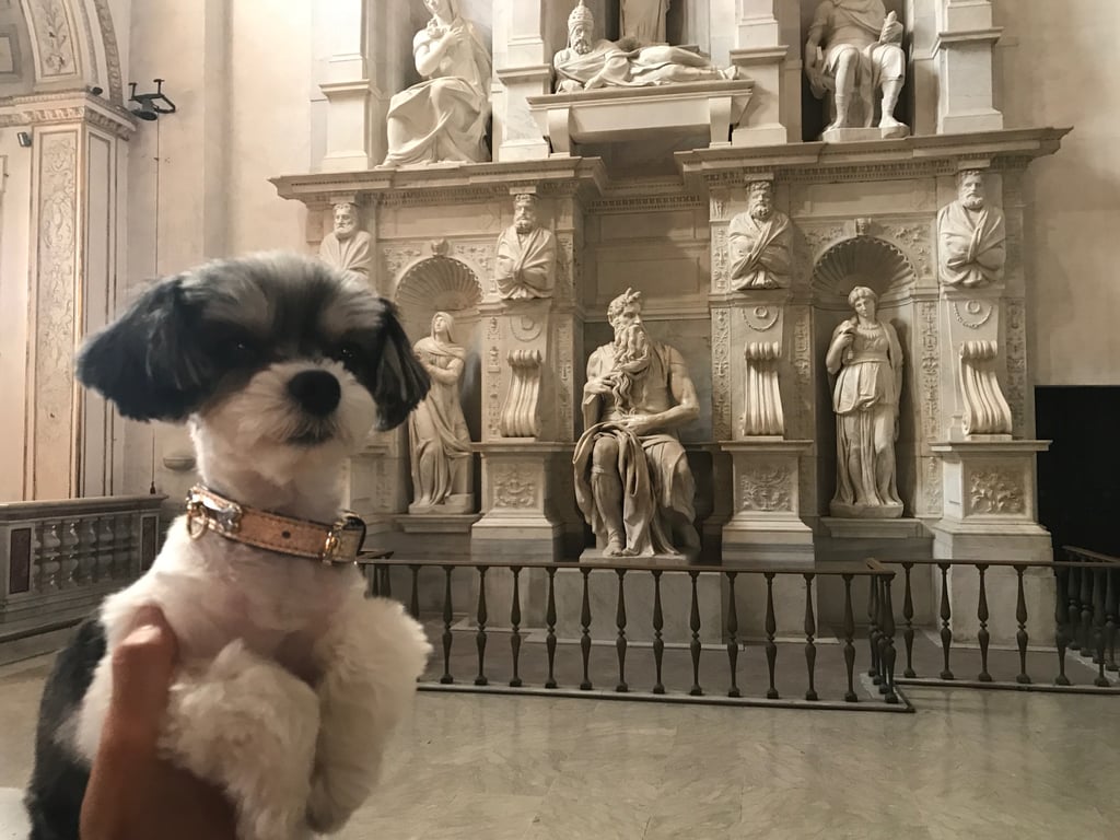 I even got to take in the Moses sculpture by Michelangelo!