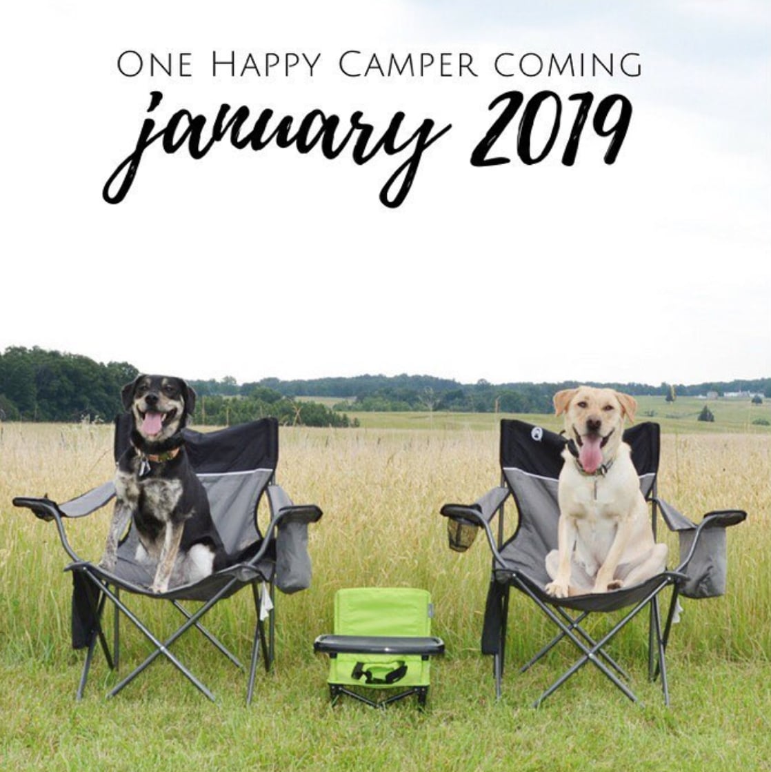 Summer Pregnancy Announcement Ideas Popsugar Family
