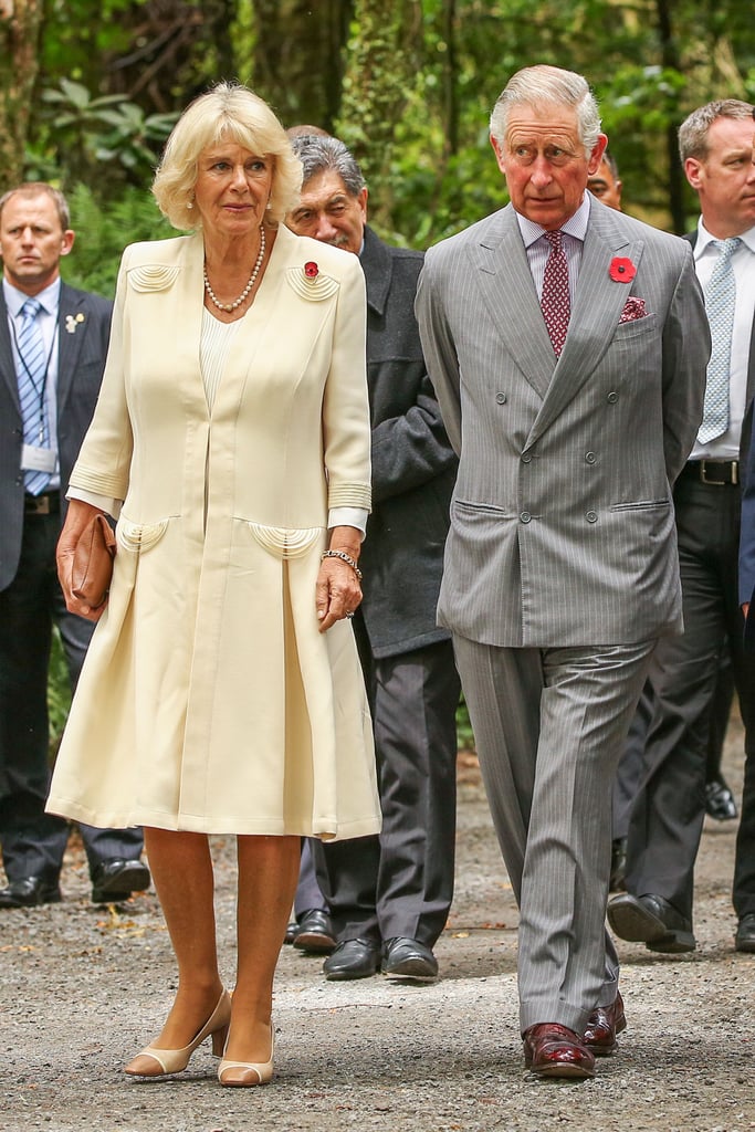 Prince Charles and Camilla in New Zealand Nov. 2015 Pictures