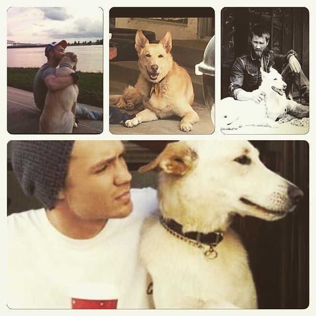 Chad Michael Murray's Dog Joe Dies | Pictures
