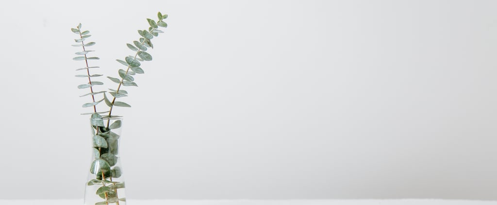 How to Turn Your Shower Into a Spa Experience