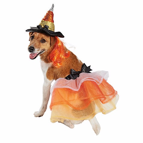 Petco Dog Halloween Costumes 2016 Popsugar Pets