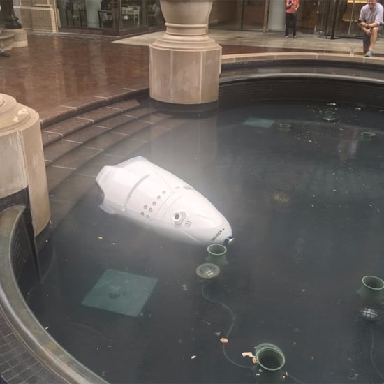 DC Robot Falls Into Fountain