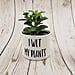 Your Succulent Needs This "I Wet My Plants" Holder From Etsy